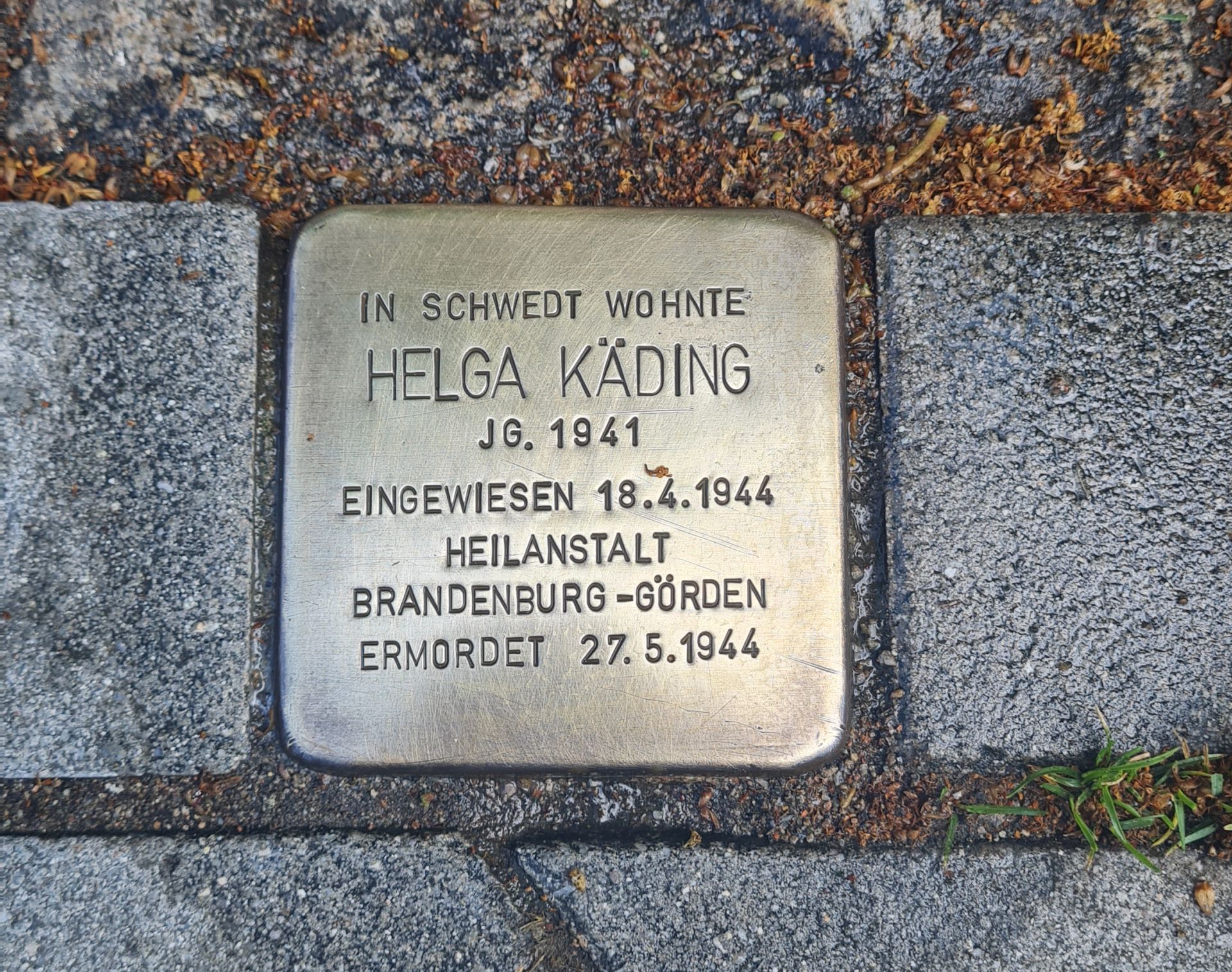 Foto: Stolperstein der Familie Käding Foto: Stolperstein der Familie Käding