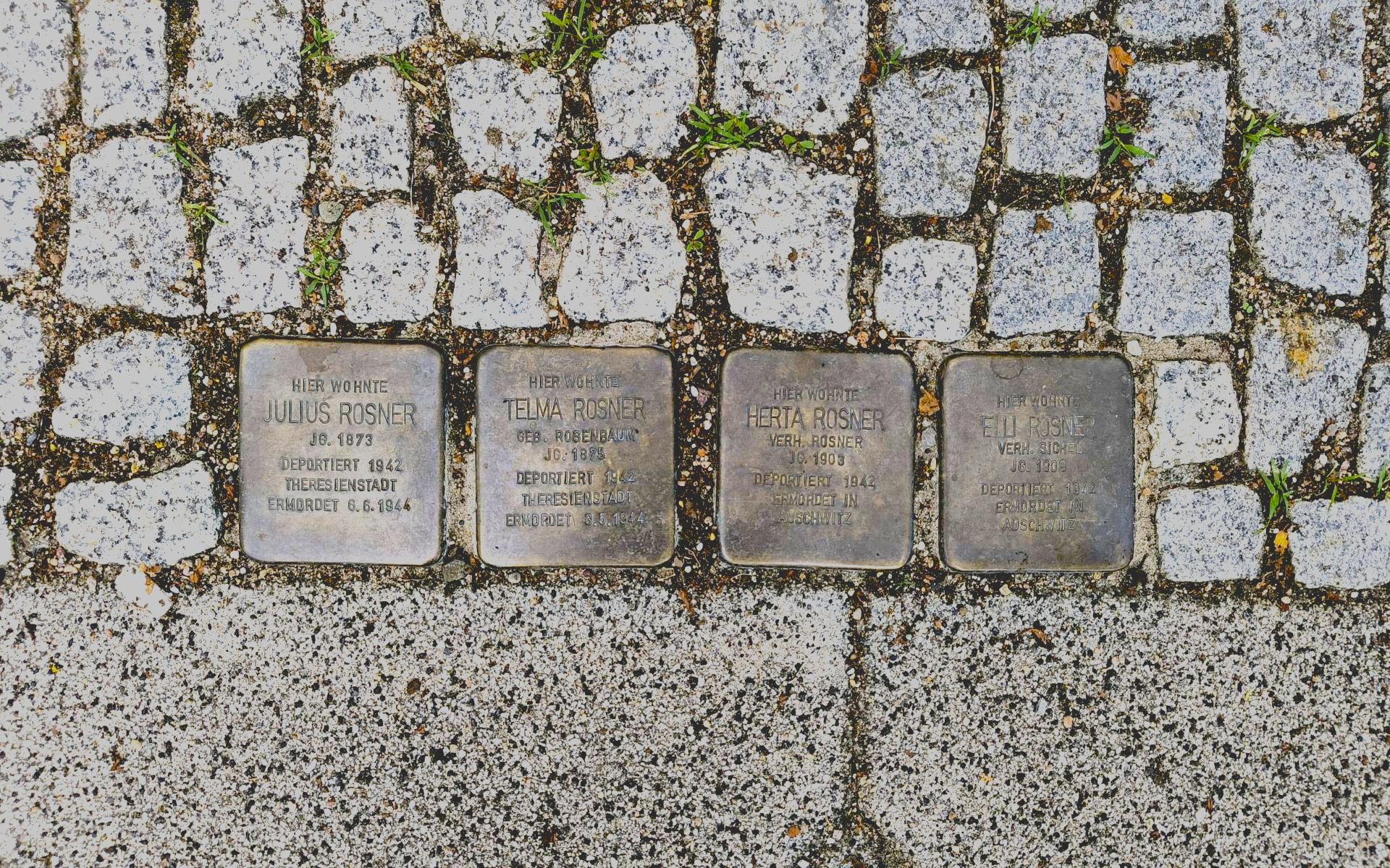 Foto: 4 Stolpersteine der Familie Rosner Foto: 4 Stolpersteine der Familie Rosner