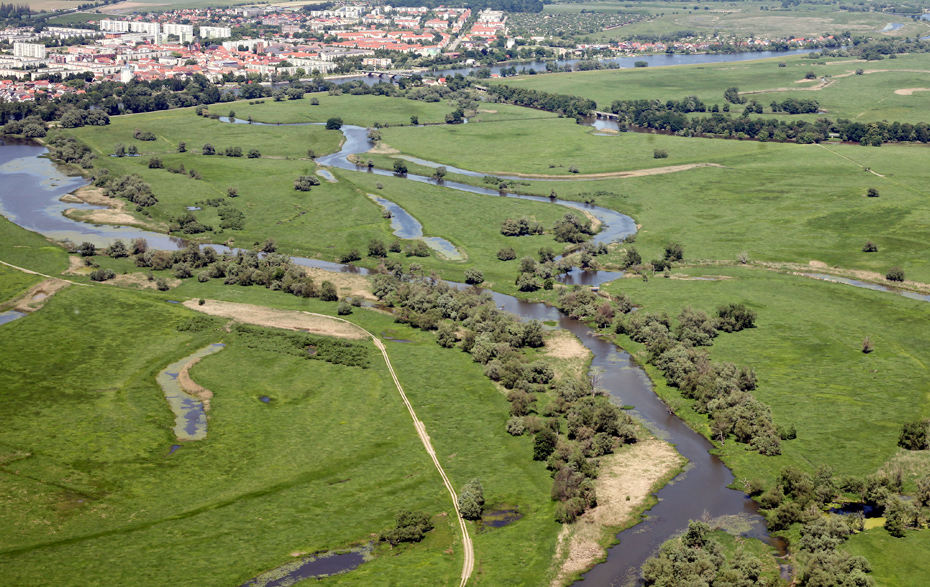 Foto: Blick ins untere Odertal