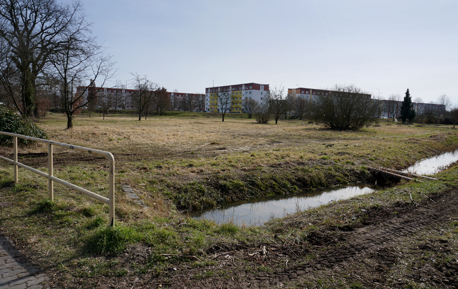 Foto: freie Fläche am Wassergraben Foto: freie Fläche am Wassergraben