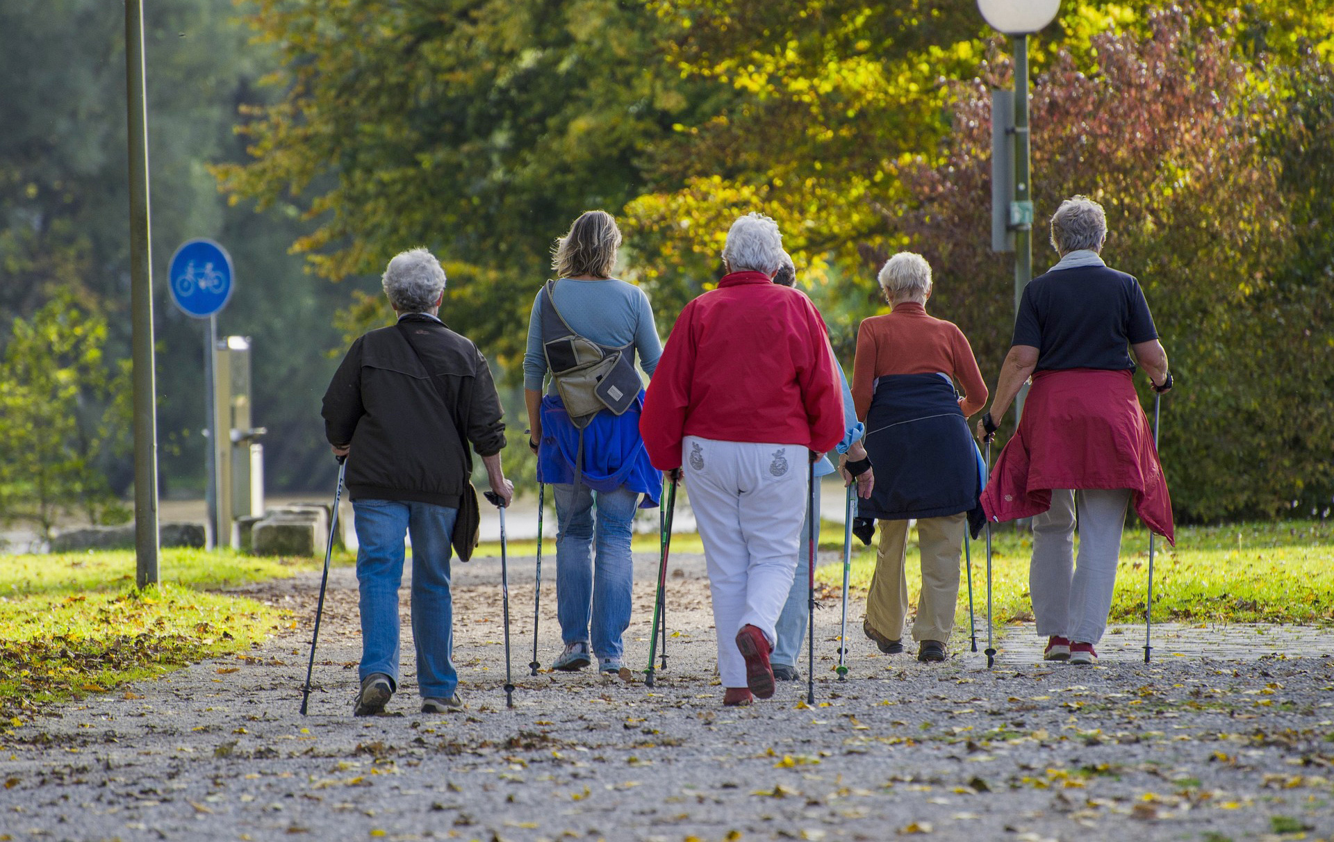 Foto: Gruppe beim Nordic Walking in herbstlicher Landschaft