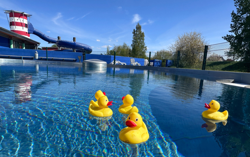 Foto: 5 gelbe Enten im Außenbecken des AquariUMs