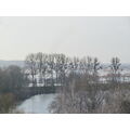 Foto vom 5. Februar 2013: Blick über den Kanal und durch Bäume auf geflutete Polderwiesen Foto vom 5. Februar 2013: Blick über den Kanal und durch Bäume auf geflutete Polderwiesen