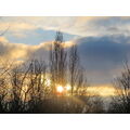 Foto vom 10. Februar 2013: Sonne hinter einer Baumgruppe Foto vom 10. Februar 2013: Sonne hinter einer Baumgruppe