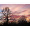 Foto vom 2. März 2013: Abendrot Foto vom 2. März 2013: Abendrot