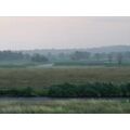 Foto vom 18. Juni 2012: Polderlandschaft im Regen