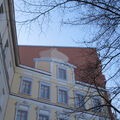 Foto vom 4. Februar 2014: Blick noch oben auf Häuserfassade, kahlen Baumwipfel und blauen Himmel Foto vom 4. Februar 2014: Blick noch oben auf Häuserfassade, kahlen Baumwipfel und blauen Himmel