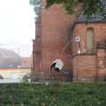 Foto vom 8. August 2014: „Storch“ auf dem Kirchplatz Foto vom 8. August 2014: „Storch“ auf dem Kirchplatz