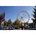 Foto: Riesenrad auf dem Alten Markt Foto: Riesenrad auf dem Alten Markt