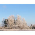 Foto vom 27. Dezember 2014: Winterlandschaft Foto vom 27. Dezember 2014: Winterlandschaft