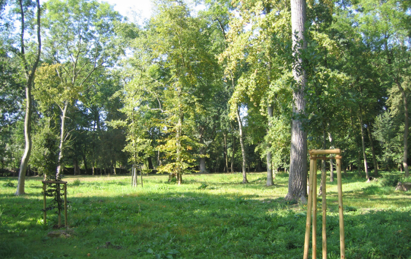 Foto: grüner Park Foto: grüner Park