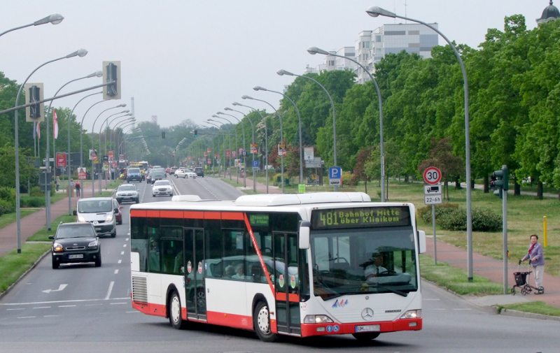 Foto: Bus auf der Lindenallee Foto: Bus auf der Lindenallee
