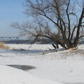 Foto vom 1. Februar 2014: Brücke, zugefrorene Oder und Baum Foto vom 1. Februar 2014: Brücke, zugefrorene Oder und Baum