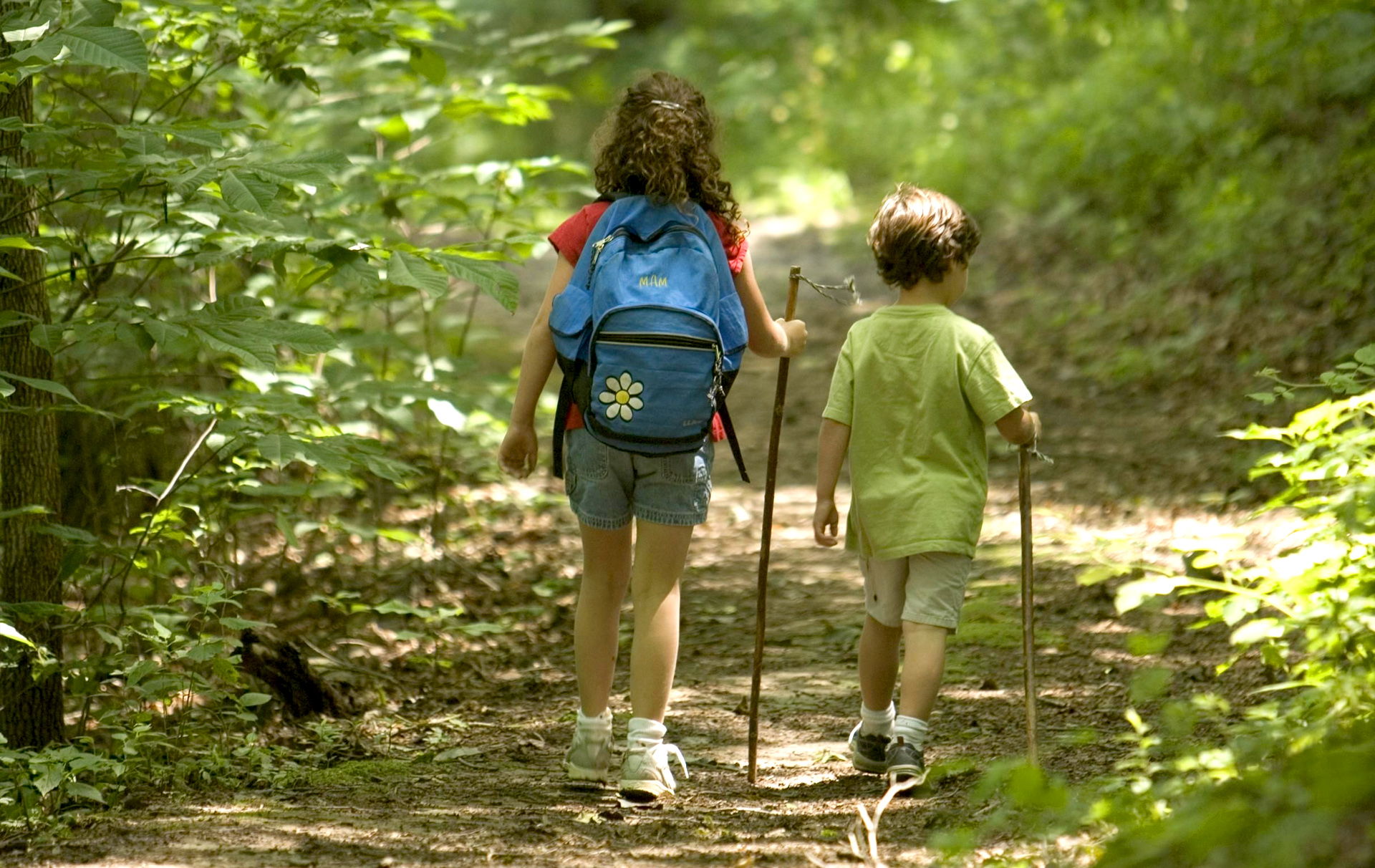 Foto: 2 Kinder wandern auf einem Waldweg Foto: 2 Kinder wandern auf einem Waldweg